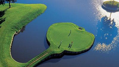 Are You Taking a Mulligan on TPC Sawgrass' #17?